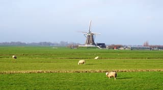 vanmiddag heel even de opklaringen morgen ook! 