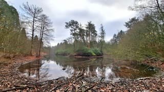 Een beetje een grijze najaarsdag 