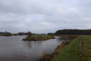 Grijze winderige dag 