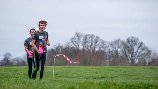 Koude wind bij survival