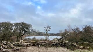 Na de middag komt er meer blauw aan de lucht 