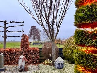 Bewolkte winterse dag voor kerst