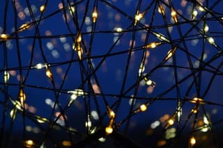 Beetje kleur met deze grijze dagen.