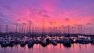 Nakleuring IJsselmeer 