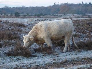 14-12-2022. Wat was het koud!