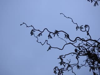 Waar blijft het zonnetje?