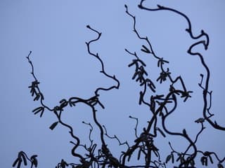 Waar blijft het zonnetje?