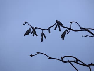 Waar blijft het zonnetje?