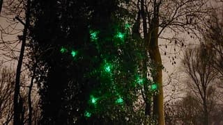 Lichtpuntjes op deze grijze dag 