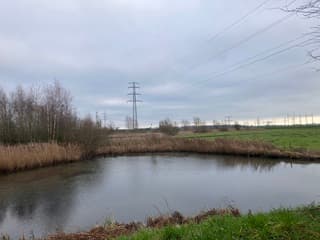 Helaas geen zon in Zwolle 