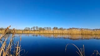Zon in Zuna (Overijssel)