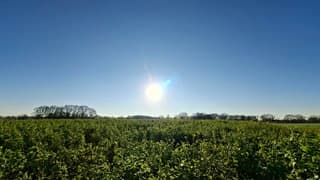 Zon in Zuna, tijdstip foto 13.21 uur