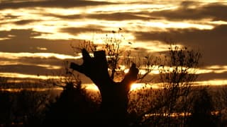 Zonsondergang was kleurrijk