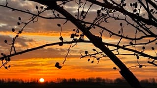 Schitterende zonsopkomst in Oostum
