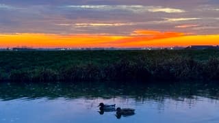 Ochtend water in de sloot