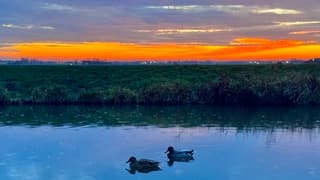 Ochtendrood water in de sloot