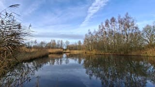 Wat bewolking en weerspiegeling van de bomen in water