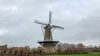 Molende5gebroeders in grijzelucht 