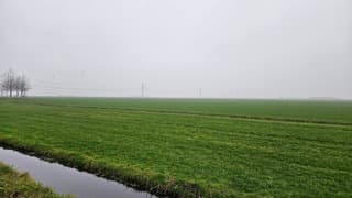 Grijze, kleine wereld