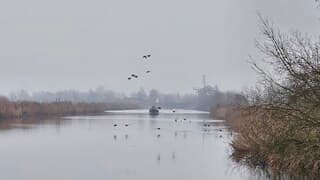 Molen is nog net te zien door de mist
