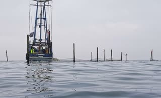 Rustig en grijs Markermeer 