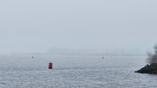 Mist boven het Tjeukemeer 