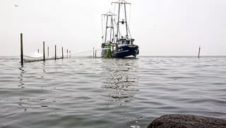 Een rustig en grijs Markermeer 