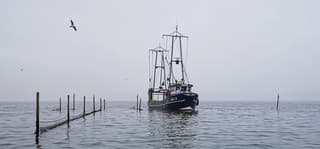 Grijs en rustig Markermeer 