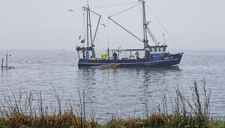 Grijze start Markermeer 