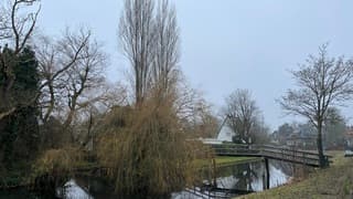 Grijze woensdagochtend