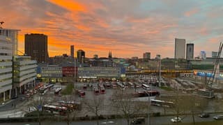 Kadootje in de ochtend