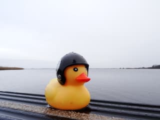 Regen