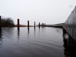 Regen