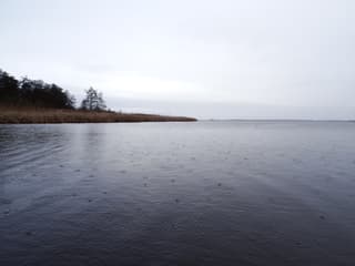 Regen