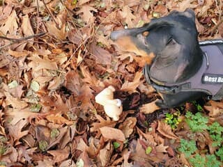 Het is genieten in het zonnetje 