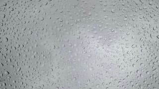 Ook wat regen vandaag 