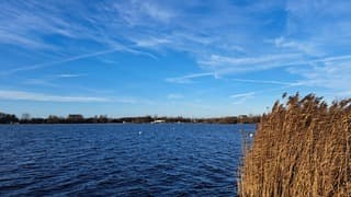 Namiddag kwam zonnetje nog ff kjjken