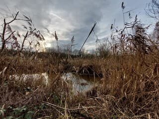 Het zonnetje komt tevoorschijn