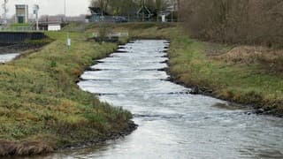 Vis trap Sluis Everdingen 