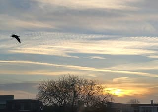 Zonsopkomst in nevelen gehuld 