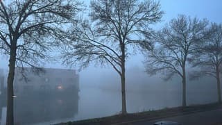 De dag begon mistig.