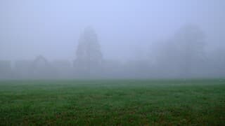 Mistig landschap in Midden-Nederland 