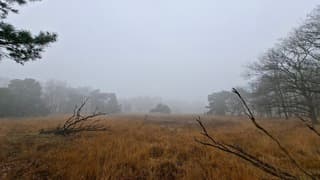 Mistige natuur in Havelte vanochtend 