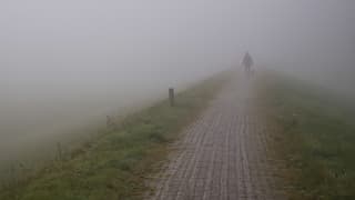 Man laat hond uit in de mist.