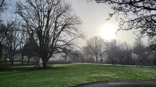 De zon doet pogingen 