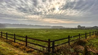 loerbeek Montferland