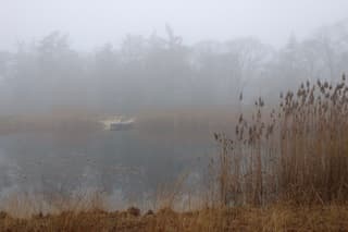 Steiger in de mist