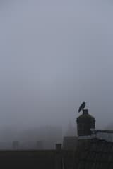 Mistige middag Leeuwarden