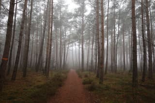 Sprookjesachtig