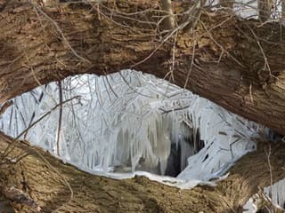 Vandaag begint de winter. Wat gaat het worden?